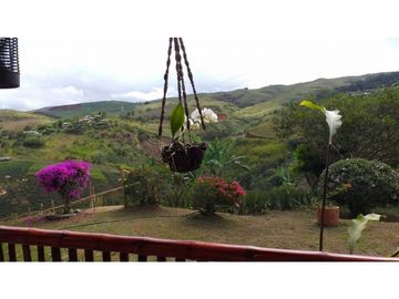 VENDO FINCA EN EL QUEREMAL T.P 7983315