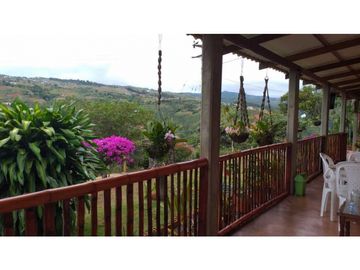 VENDO FINCA EN EL QUEREMAL T.P 7983315