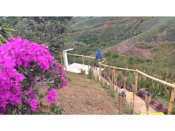 VENDO FINCA EN EL QUEREMAL T.P 7983315