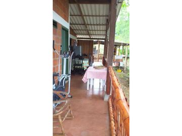 VENDO FINCA EN EL QUEREMAL T.P 7983315