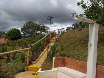 VENDO FINCA EN EL QUEREMAL T.P 7983315