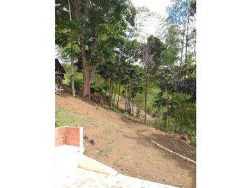 VENDO FINCA EN EL QUEREMAL T.P 7983315