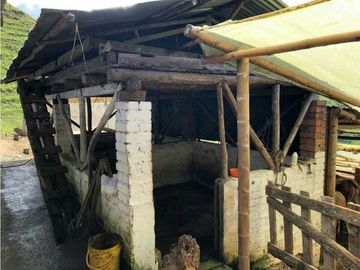 VENTA FINCA GANADERA EN VERSALLES VALLE.  W 7983519  L.G