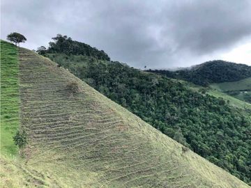 VENTA FINCA GANADERA EN VERSALLES VALLE.  W 7983519  L.G