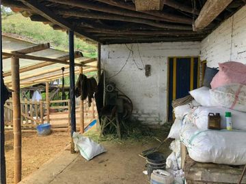VENTA FINCA GANADERA EN VERSALLES VALLE.  W 7983519  L.G