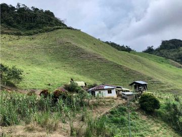 VENTA FINCA GANADERA EN VERSALLES VALLE.  W 7983519  L.G