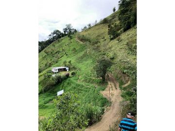 VENTA FINCA GANADERA EN VERSALLES VALLE.  W 7983519  L.G