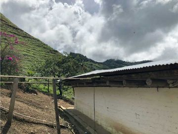 VENTA FINCA GANADERA EN VERSALLES VALLE.  W 7983519  L.G