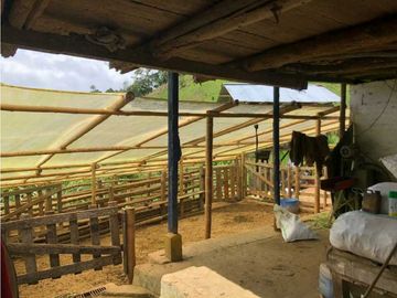 VENTA FINCA GANADERA EN VERSALLES VALLE.  W 7983519  L.G