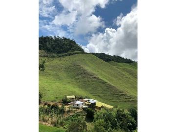 VENTA FINCA GANADERA EN VERSALLES VALLE.  W 7983519  L.G