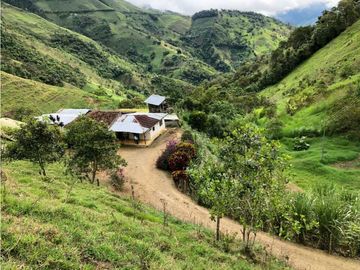 VENTA FINCA GANADERA EN VERSALLES VALLE.  W 7983519  L.G