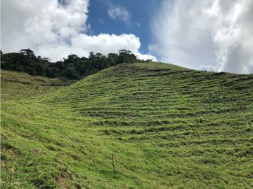 VENTA FINCA GANADERA EN VERSALLES VALLE.  W 7983519  L.G
