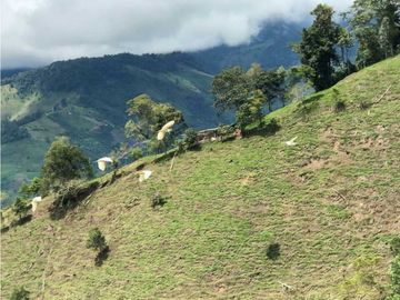 VENTA FINCA GANADERA EN VERSALLES VALLE.  W 7983519  L.G