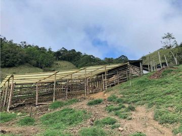 VENTA FINCA GANADERA EN VERSALLES VALLE.  W 7983519  L.G