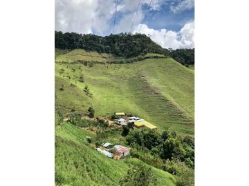 VENTA FINCA GANADERA EN VERSALLES VALLE.  W 7983519  L.G