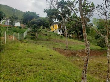 VENTA  FINCA EN TOCOTA DAGUA. W 7983529  L.G
