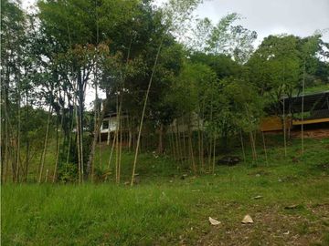 VENTA  FINCA EN TOCOTA DAGUA. W 7983529  L.G