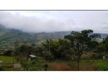 VENTA  FINCA EN TOCOTA DAGUA. W 7983529  L.G
