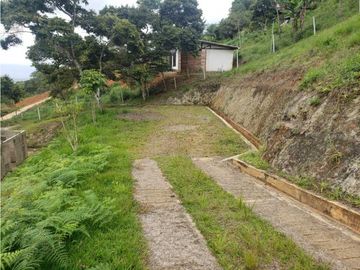 VENTA  FINCA EN TOCOTA DAGUA. W 7983529  L.G
