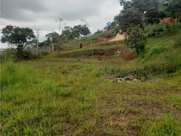 VENTA  FINCA EN TOCOTA DAGUA. W 7983529  L.G