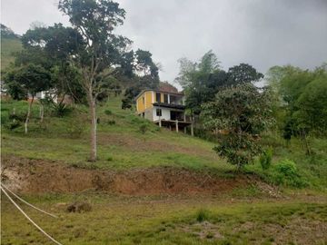 VENTA  FINCA EN TOCOTA DAGUA. W 7983529  L.G