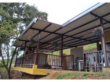 VENTA  FINCA EN TOCOTA DAGUA. W 7983529  L.G