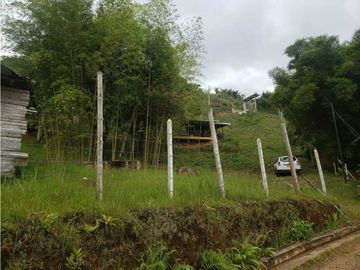 VENTA  FINCA EN TOCOTA DAGUA. W 7983529  L.G