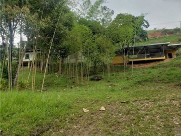 VENTA  FINCA EN TOCOTA DAGUA. W 7983529  L.G