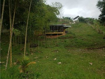 VENTA  FINCA EN TOCOTA DAGUA. W 7983529  L.G