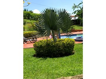 Se vende casa campestre en El Carmen JV - JPG (W7983660)