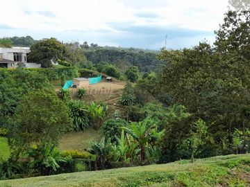 LOTE EN VENTA EN VIA MORELIA /PEREIRA