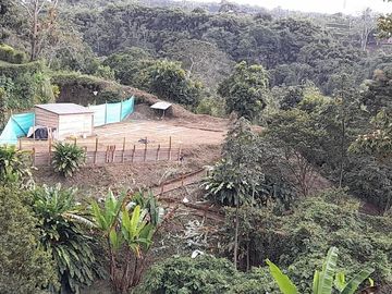 LOTE EN VENTA EN VIA MORELIA /PEREIRA