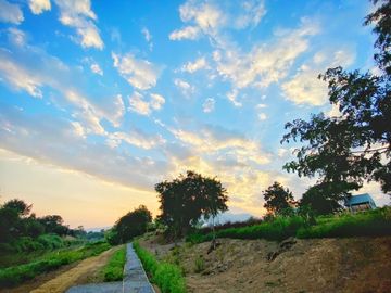 Land for sale in Don Kaeo, Chiang Mai
