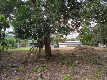 FINCA A LA VENTA CAÑAVERAL PENONOME