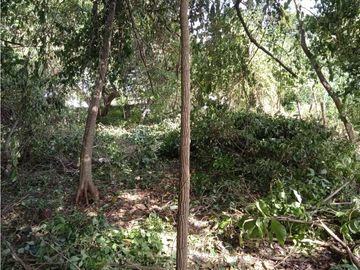 FINCA A LA VENTA CAÑAVERAL PENONOME