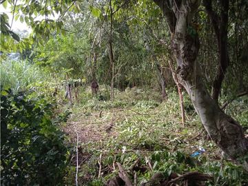 FINCA A LA VENTA CAÑAVERAL PENONOME