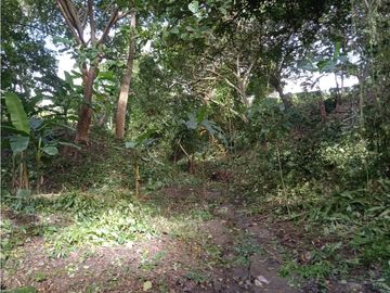 FINCA A LA VENTA CAÑAVERAL PENONOME