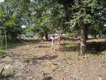FINCA A LA VENTA CAÑAVERAL PENONOME