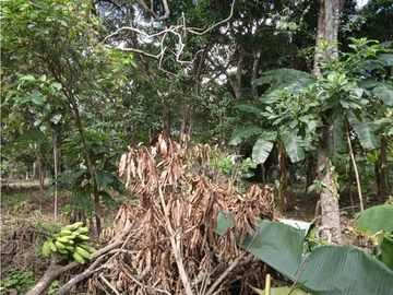 FINCA A LA VENTA CAÑAVERAL PENONOME