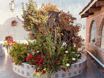 Inmejorable casa con auditorio en venta || Huejotzingo, Puebla