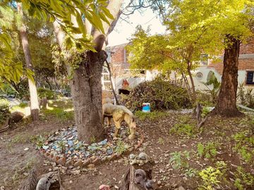 Inmejorable casa con auditorio en venta || Huejotzingo, Puebla