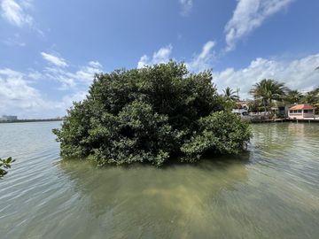 Casa en Venta y Renta en Zona Hotelera