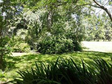 Venta - Chacra en General Madariaga - incluye hermosa casa campestre TOTALMENTE RECICLADA