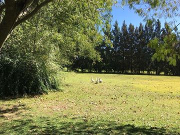 Venta - Chacra en General Madariaga - incluye hermosa casa campestre TOTALMENTE RECICLADA