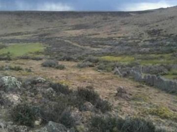 Excelente Establecimiento Ganadero / Rio Chico / Santa Cruz/ 20.000 ha