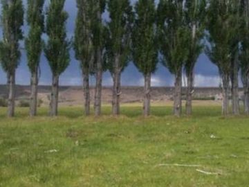 Excelente Establecimiento Ganadero / Rio Chico / Santa Cruz/ 20.000 ha