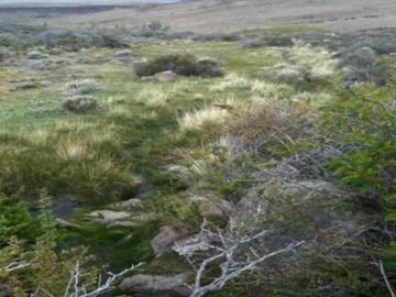 Excelente Establecimiento Ganadero / Rio Chico / Santa Cruz/ 20.000 ha