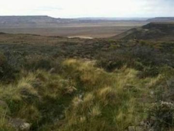 Excelente Establecimiento Ganadero / Rio Chico / Santa Cruz/ 20.000 ha