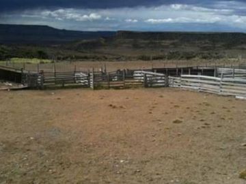 Excelente Establecimiento Ganadero / Rio Chico / Santa Cruz/ 20.000 ha