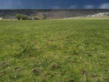 Excelente Establecimiento Ganadero / Rio Chico / Santa Cruz/ 20.000 ha